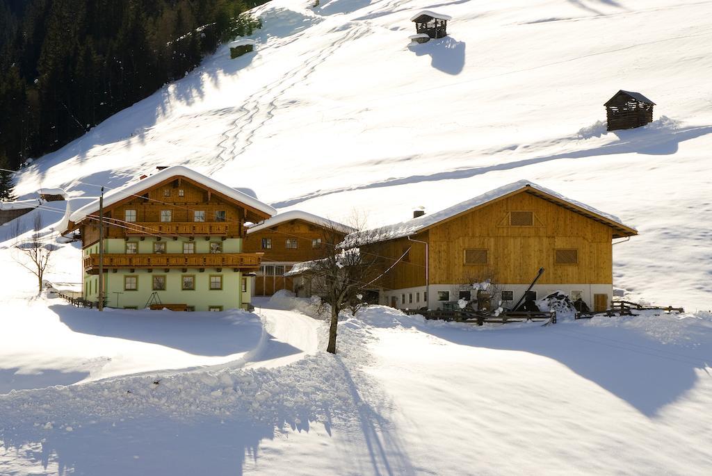 Appartamento Kleinellmauhof Grossarl Esterno foto